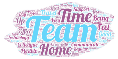 NES word cloud - Manager Support