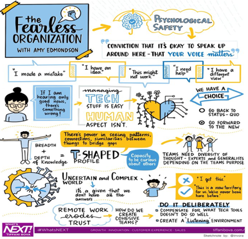 The Fearless Organisation