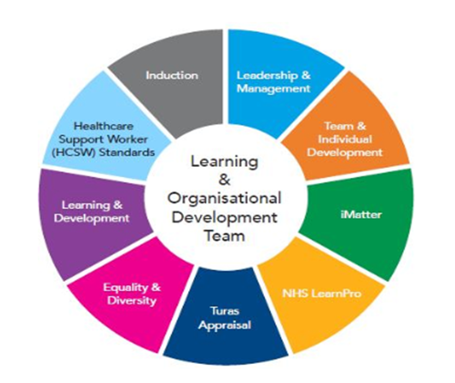 Learning & Organisational Development sector image
