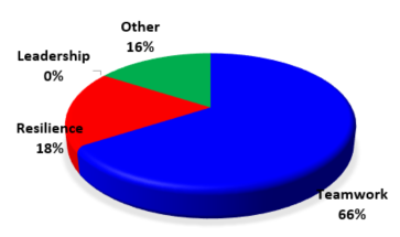 positive aspects - leadership, resilience, teamwork